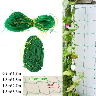 £2.99 • Buy 4 Sizes Garden Plant Climbing Net Stand Holder Green Nylon Trellis Netting Mesh