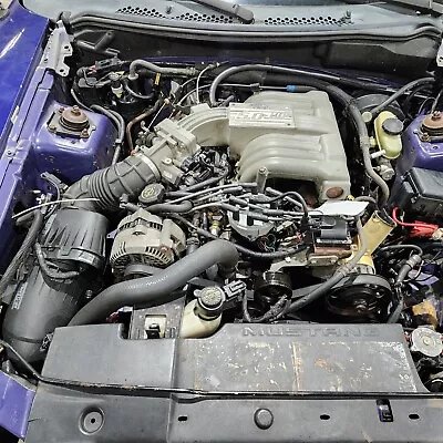 94-95 Mustang Gt 5.0L 302 Ho Engine Motor 172K Aa7160 • $1349