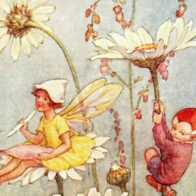 Vintage  Pixie Post  Margaret W. Tarrant (Medici) Fairies Daisies Postcard - VGC • $12.99