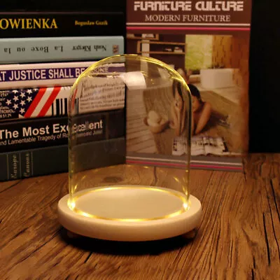 £8.95 • Buy Glass Cloche Bell Jar Dome Warm White LED Wood Base Plant Flower Display Decor