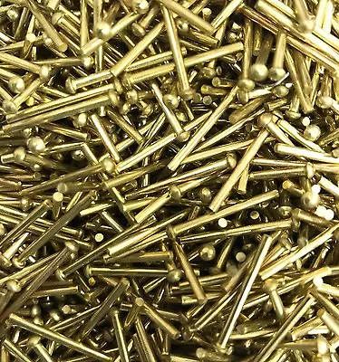 £4.49 • Buy 1/16  X 3/4  Brass Rivets Round Head Snap Head