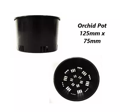$18.95 • Buy ORCHID POT 125mm X 75mm - PACK OF 5 Or 10 - PORT SQUAT