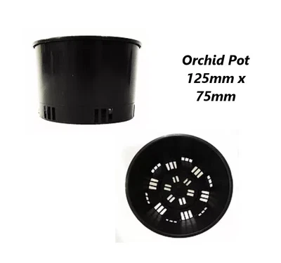 ORCHID POT 125mm X 75mm - PACK OF 5 Or 10 - PORT SQUAT • $13.95