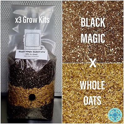 Premium Exotic Dung ALL-IN-ONE Mushroom Grow Kit 3 Pack Kit 5lb Bag • £68.36