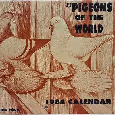 Pigeons Of The World Calendar 1984 Paperback Illustrated By Diane Jacky Issue 4 • £39.07