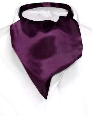 Biagio ASCOT Solid EGGPLANT PURPLE Color Cravat Mens Neck Tie • $13.95