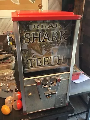 Shark Tooth Capsule Bulk Vending Machine Oak Chicago Diamond  • $139