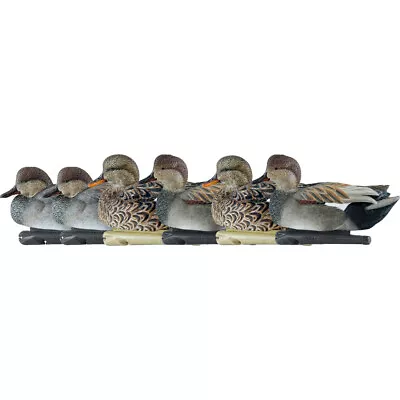 AvianX Top Flight Duck Decoys Gadwall 6 Pk. • $109.49