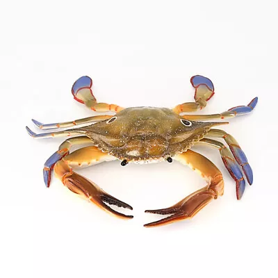2Pcs Large Crab Toys Ocean Creatures Model Marine Animal Toy • £18.28