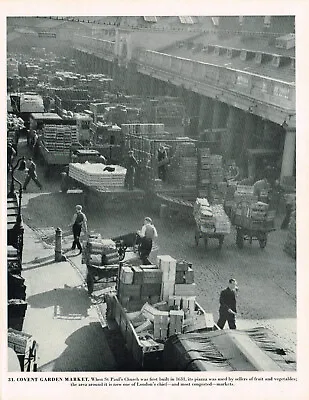 Covent Garden Market London Vintage Picture Old Print 1956 CLPBOL3#31 • £3.49