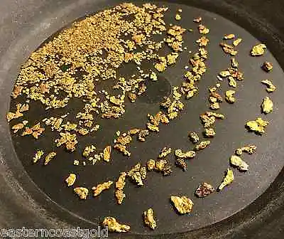Buy Our Best Rich GOLD Paydirt Concentrates By The 1/2 Pound! | Bullion Nugget • $19.99