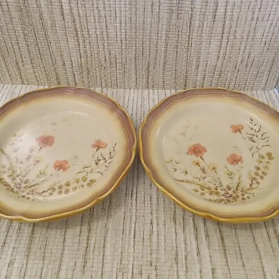 Mikasa Whole Wheat Salad Plates 8  E8016 Set Of 2 Japan Vintage Jardiniere • $12