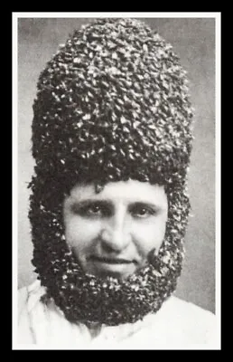 Bee Man With Bee Beard And Hair BIG MAGNET 3 X 5.5 Inches • $5.98