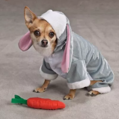 Zack & Zoey BUNNY Pet Dog Halloween Costume MEDIUM - FAST US SHIPPER • $10.99