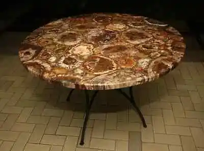 Petrified Wood Coffee Table Round Coffee Table Mid Century Center Side Table • $614.59