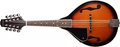 M20 Left-Handed 8-String Bluegrass Mandolin With Adjustable Bridge - Violinburst • $208.99