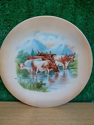 Antique Victorian Handpainted Plates Cows/Bulls-Signed H Bradshaw  • £21