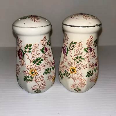 Mikori Ware Salt And Pepper Shakers Ceramic Hand Painted Pre-1926 Made In Japan • $49.99