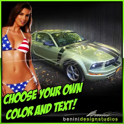 Custom Side Stripe And Hood Stripes Decals Fits- 2005 - 2009 Ford Mustang GT SVT • $74.99