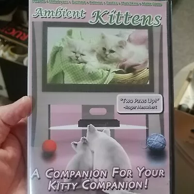 Ambient Kittens-DVD-2005-VAT19-Jumby Studios • $20.96