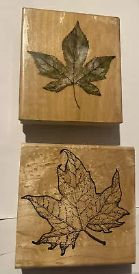 Rubber Stampede A2947H Liquid Amber Maple Tree Leaf Stamp Lot Of 2 • $9.95