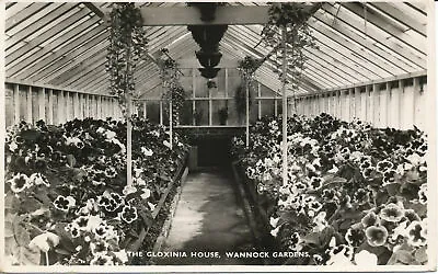 £6.75 • Buy PC00103 Gloxinia House. Wannock Gardens. 1955