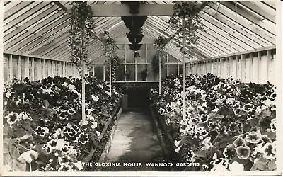 PC00103 Gloxinia House. Wannock Gardens. 1955 • £6.75