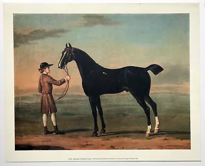 The Racehorse Victorius By Richard Roper (1730 - 1775) Reproduction Print • £20