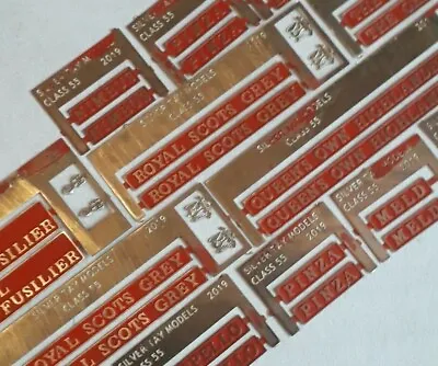 £7.99 • Buy 00 (4mm) Silver Tay Models BR Class 55 Deltic Nameplates