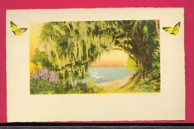 E G Barnhill Royal Arch Ormond Old Florida Egret 1930's Orig Art Print Color FL • $0.99