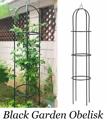 1.9m Metal Garden Obelisk Climbing Plant Flowers Steel Frame Wgo Trellis Vines • £10.03