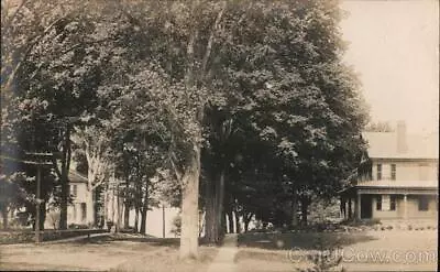 RPPC Vermont Tree-Lined Street And Houses With Sidewalk VELOX Postcard Vintage • $9.99