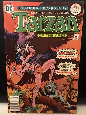 Tarzan #257 Comic DC Comics Bronze Age • £4.99