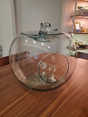 Huge Glass Carboy Demijohn Wine Jug Terrarium Apple-shaped With Sunken Neck • $75