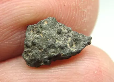 NWA 7479 Carbonaceous CV3 Chondrite Meteorite - G257-0216 - 0.25g - W/COA - Rare • $0.99