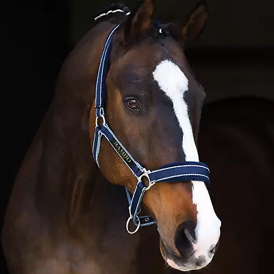 RAMBO PADDED HEADCOLLAR Horseware Padded Fleece Nose And Headband Adjustable • £19.95