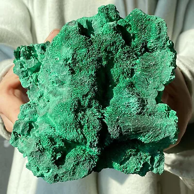 2.47LB Natural Green Malachite Crystal Fiber Cluster Rough Mineral Sample • $38