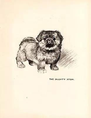 Funny Authentic 1942 Original Vintage Dog Print By K.F. Barker • £7.75