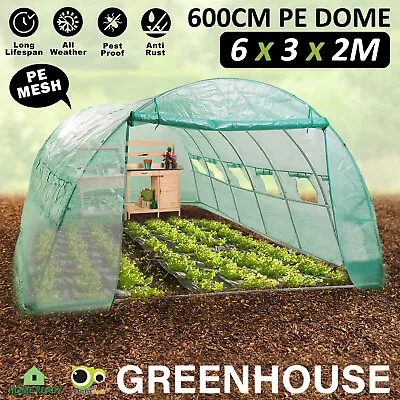 Greenhouse Walk-In Green House Shed Storage Dome Hoop Tunnel Polytunnel PE 6M • $189.90