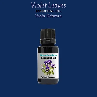 Violet Essential Oil (Leaves)  (Viola Odorata). 100% Pure And Natural. • $13.49