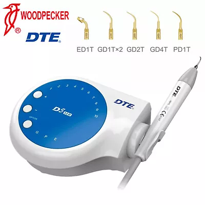 Original Woodpecker DTE D5 LED Dental Ultrasonic Piezo Scaler SATELEC Handpiece • $179.99