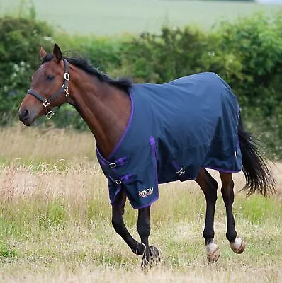 GALLOP TROJAN LITE 0g No Fill Standard Neck Light Weight Turnout Horse Rug  • £34.99