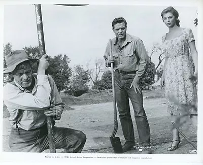 Tina Louise Jack Lord Robert Ryan GOD'S Lttle Acre 1958 Vintage Photo Genuine 8 • $127.31