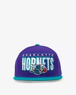 Charlotte Hornets Mitchell And Ness Logo Text Larry Johnson Jordan NBA Snapback • $34.99