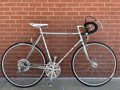 Japanese Vintage Vista Silver Shadow Road Bike 58cm Frame Shimano 600 Groupset • $380