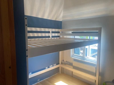 £100 • Buy IKEA STORA Double Loft Bed Frame