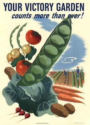  Wall Decals Your Victory Garden (USA) World War II Propaganda Poster • $16.88