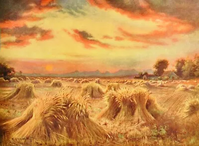 Hay Fields Sunset By R A Fox • $15.95