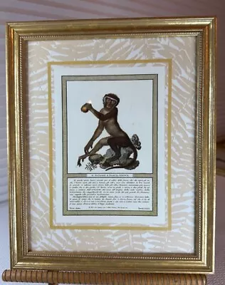 Art Print Monkey In A Gold Frame 9” X 11” ‘WHITE BAND PATASSO’ • $7.99