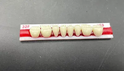 Vintage Denture Teeth Set Single Strip - T114 • $14.99